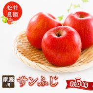 信州小諸　松井農園のサンふじ　約5kg 果物類・林檎・りんご・リンゴ