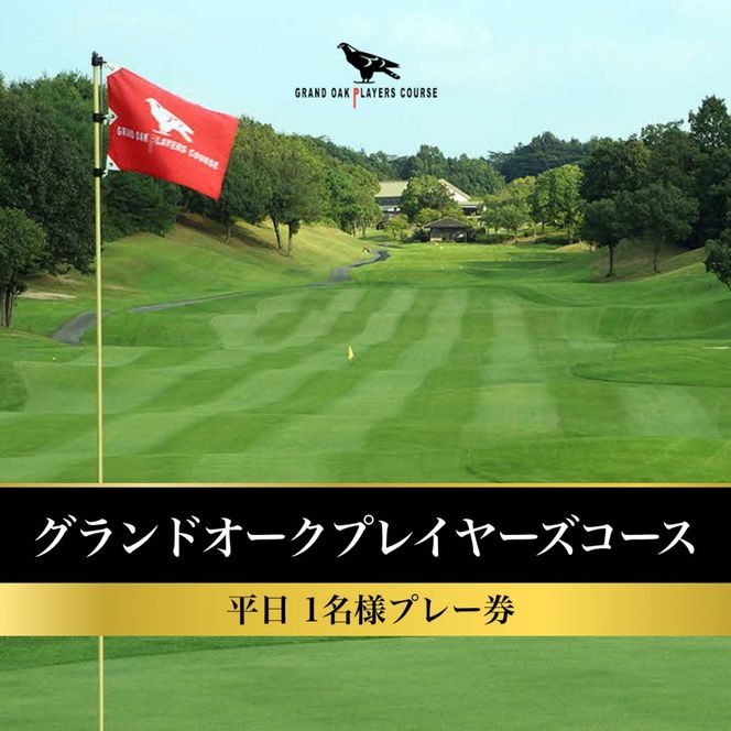 yɌszOhI[N vC[YR[X  1l v[ [ St s Ɍ ֐ St ] Stꗘp