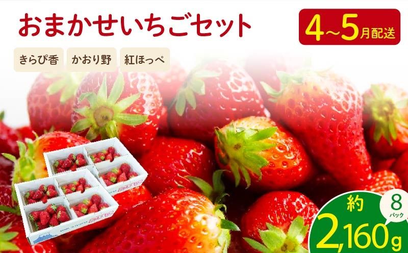 [先行予約 2026年04月より順次発送] いちご 2kg 以上 おまかせ 苺 旬 産地 直送 フレッシュ イチゴ 紅ほっぺ きらぴ香 かおりの フルーツ 果物 国産 ジャパン ベリー オンライン決済限定 静岡県 藤枝市