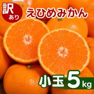 【先行予約】訳あり 愛媛みかん 小玉 5kg 傷み補償 250g 増量 発送期間 2026年11月上旬以降 みかん 愛媛みかん 温州みかん 南柑20号 柑橘 蜜柑 かんきつ 冬 秋 旬 正月 愛媛 愛媛県 愛南町 お歳暮 プレゼント くだもの 果物 フルーツ スイーツ おやつ お菓子 和菓子 甘い 糖度 オレンジ 冷凍 みかん ジュース 清家ばんかんビレッジ