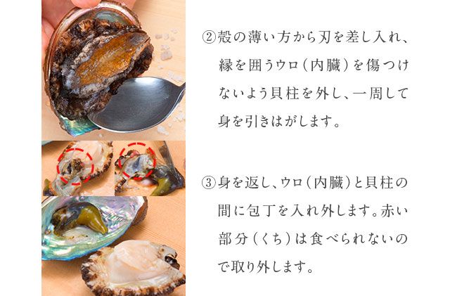 礼文島産 凍結島アワビ 120g以上 3個 魚貝類 魚介類 鮑利尻昆布 良質 瞬間冷凍 磯の香り コリコリ 獲れたて 甘い 贈り物 