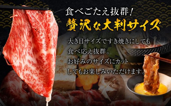 博多和牛リッチな切り落とし 600g（300g×2パック） 博多和牛 和牛 牛肉 肉 牛 すき焼き お取り寄せ グルメ