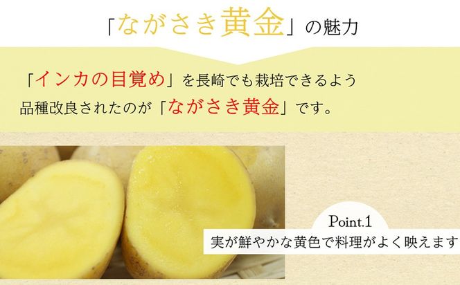 BH048 じゃがいも 希少品種 ながさき黄金 S～2Lサイズ混合 約5kg [ 野菜 芋 ジャガイモ 5キロ ほくほく 先行予約 常備野菜 サイズ混同 国産 贅沢宝庫 長崎県 島原市 ]