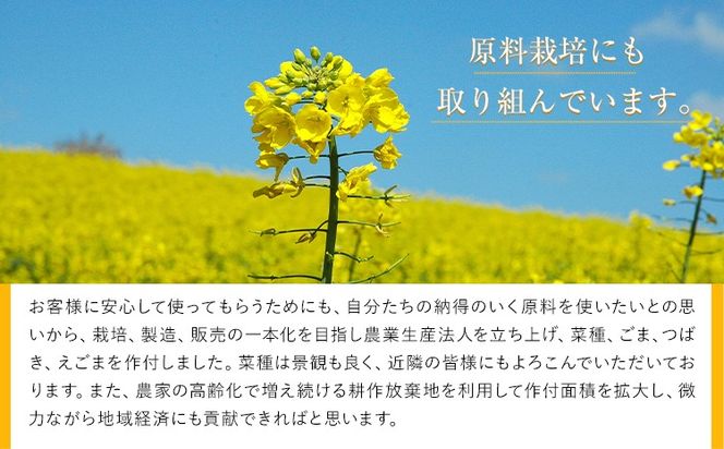 「堀内製油」の地あぶら (なたね油) 1本825g 選べる本数 3本 6本 お届け回数 1回 2回 3回 定期便 堀内製油《出荷時期をお選びください》熊本県 氷川町 地あぶら なたね 菜種油 オイル 熊本県氷川町産---hkw_hus_1_3p---