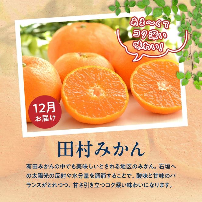 G60-T78_【定期便 全3回】紀州和歌山産旬のフルーツ定期便（田村みかん、いちご、紀州デコ）