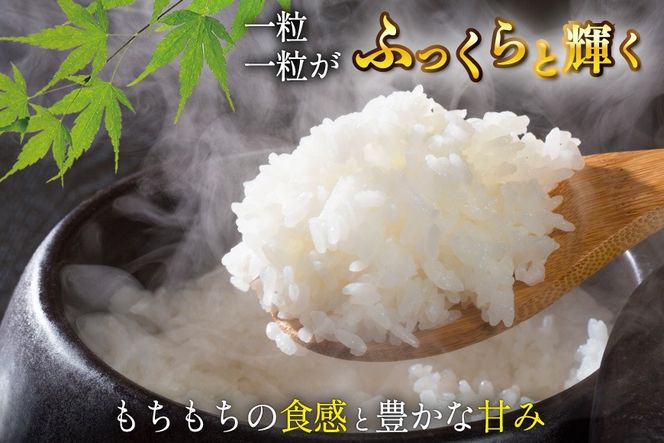 6回 定期便 米 宮城県産 とまたんのひとめぼれ 10kg (5kg×2袋) 総計60kg [サンフレッシュ小泉農園 宮城県 気仙沼市 20566087] ひとめぼれ ブランド米 白米 精米 ご飯 ごはん コメ こめ お米 小分け 家庭用
