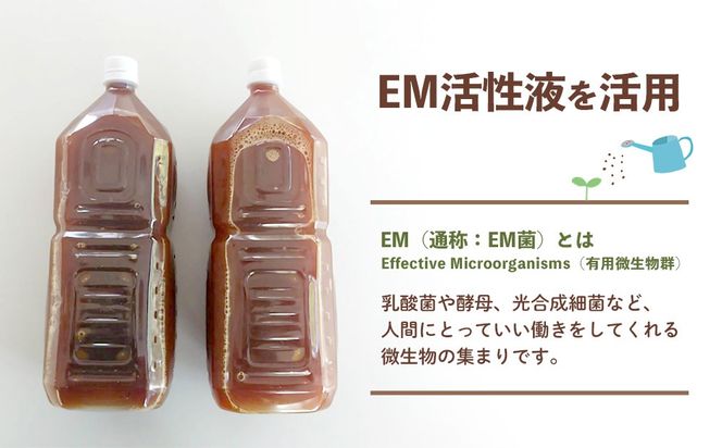 【2027年発送】大宜味村産 アーウィン種マンゴー 秀品2kg以上（青ぎりシークワーサー800ｇ付き）