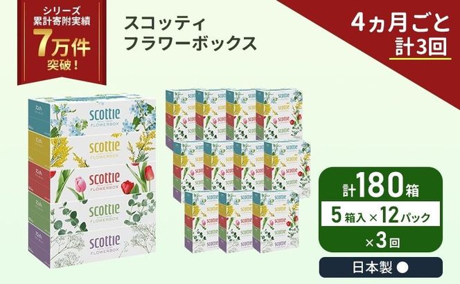 定期便 ティッシュ スコッティ フラワーボックス 180箱 ( 5箱 × 12パック )《 4ヶ月ごと 計  3回 》 