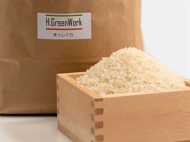 令和7年産 特別栽培米 まっしぐら 白米 10kg(5kg×2) [H.GREENWORK] 青森県 鯵ヶ沢産 / お米 精米 こめ おこめ ごはん 農薬5割減 安心 安全 津軽