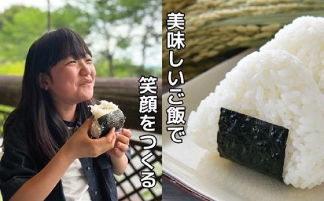 霧が育てた雲海米 特別栽培米 10kg (5kg×2) 雲海米 精米 コシヒカリ 米 コメ お米 おこめ 白米 こしひかり 岡山 高梁市