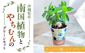 南国植物とやちむんのグリーンセット 観葉植物 エアープランツ インテリア 雑貨 小物 おしゃれ ナチュラル 沖縄市 / 草花屋ふれあい[BCDX001]