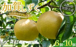 【先行予約】梨 加賀しずく 1箱（6個～10個）石川県加賀市産（2026年8月下旬～9月中旬頃発送） かがしずく ブランド梨 石川県 先行予約 予約 冷蔵配送 くだもの 果物 フルーツ ご当地 食品 災害支援 北陸新幹線 F6P-1951