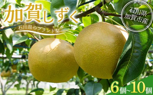 【先行予約】梨 加賀しずく 1箱（6個～10個）石川県加賀市産（2026年8月下旬～9月中旬頃発送） かがしずく ブランド梨 石川県 先行予約 予約 冷蔵配送 くだもの 果物 フルーツ ご当地 食品 災害支援 北陸新幹線 F6P-1951
