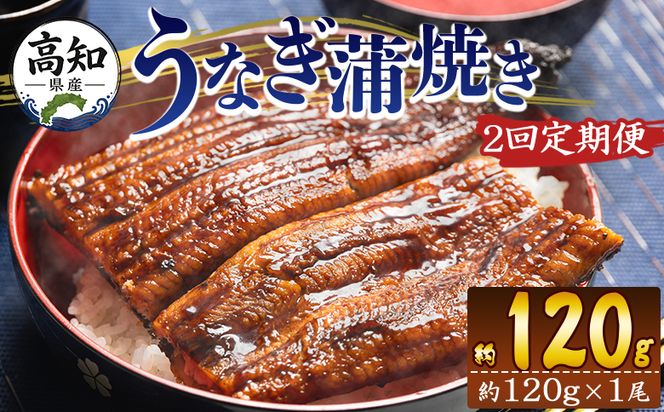 鰻 定期便 国産 うなぎ 定期便 100g～120g １尾 2回 蒲焼き 高知県産 養殖 魚介 国産 海鮮 魚 かばやき 鰻 ウナギ 惣菜 おかず お手軽 加工品 加工食品 冷凍 Wfb-0033