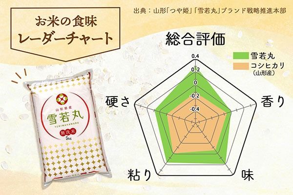 特A 山形県産 雪若丸 無洗米 6kg 2kg×3袋 令和7年産 2025年産 ブランド米 米 国産 単一原料米 山形 庄内平野
