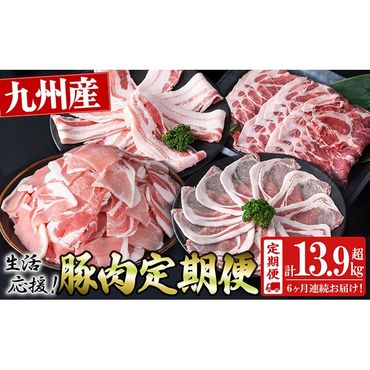 【定期便 全6回】九州産豚肉 生活応援定期便(計13.95kg) t0087-002