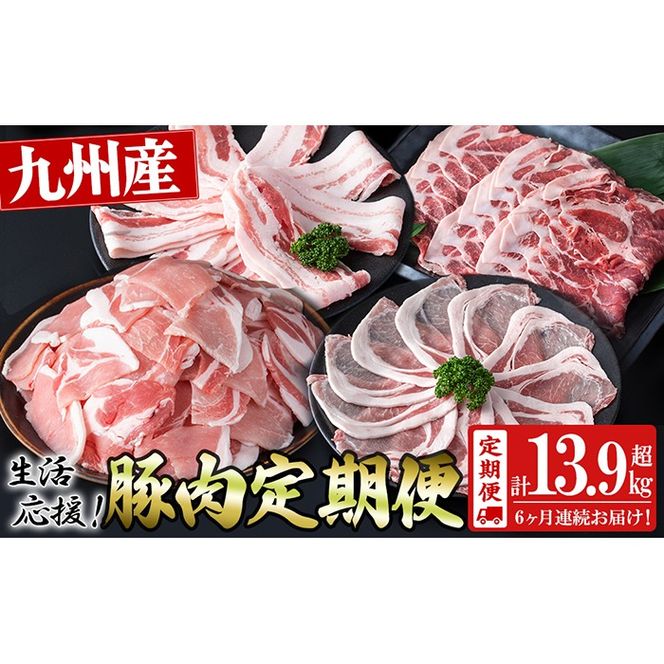 【定期便 全6回】九州産豚肉 生活応援定期便(計13.95kg) t006-011