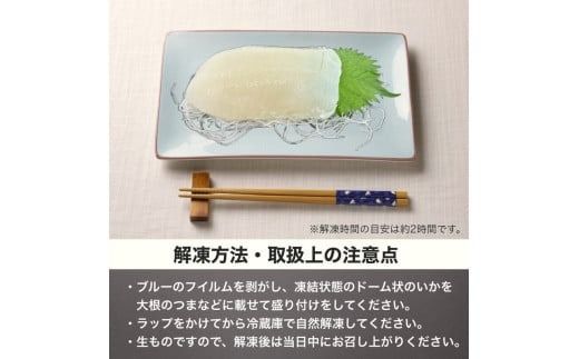 【道水】お刺身いかそうめん（業務用）約550g　いか耳塩辛110g付き_HD108-021