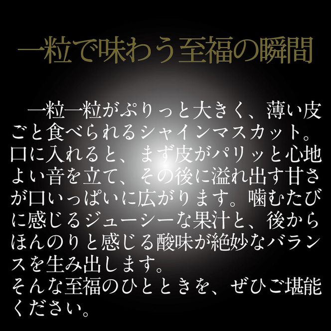 [HS]【定期便全4回】ぶどう先行予約7月・8月・9月・10月発送温室シャインマスカット晴王2房（合計約1.2kg）ブドウ 葡萄  岡山県産 国産 フルーツ 果物 ギフト デザート 食後 酸味が少ない 産地直送