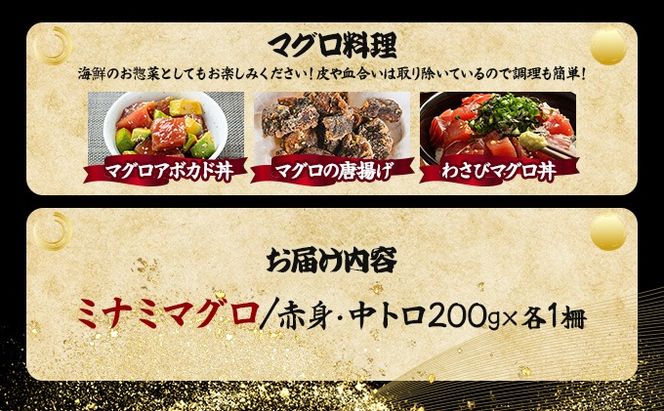 こだわりの天然ミナミマグロセット　ミナミマグロ中トロ赤身各1柵　mh011