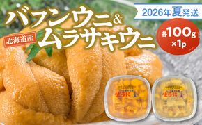 【2026年夏発送】塩水ウニ【バフンウニ＆ムラサキウニ】各100g×1パック 北海道余市町産 冷蔵  生うに うに 海産物 魚介類 北海道産 余市産 とろける 濃厚 磯の風味_ Y037-0342