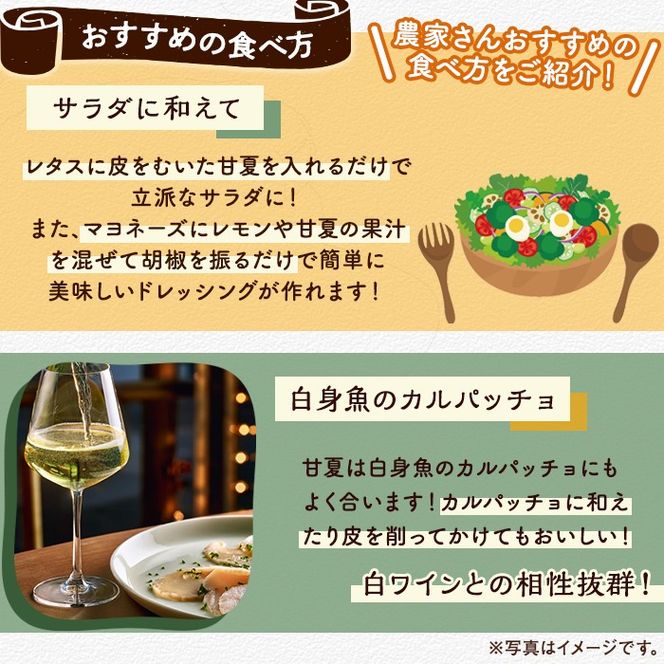 訳あり！有機JAS 甘夏(約15kg) 国産 果実 果物 フルーツ 柑橘 デザート 訳アリ 期間限定 有機栽培 【中村農場】akn084-08