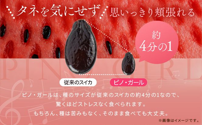 【先行予約】798.種ごと食べられる！小玉スイカ【ピノ・ガール】2玉（1玉2kg前後×2玉）※着日指定不可※離島への配送不可 313726_BQ007
