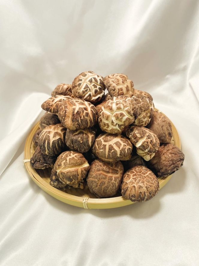 【選べる容量】国東産どんこ干し椎茸 大分県 しいたけ 冬菇 国産 _2654R