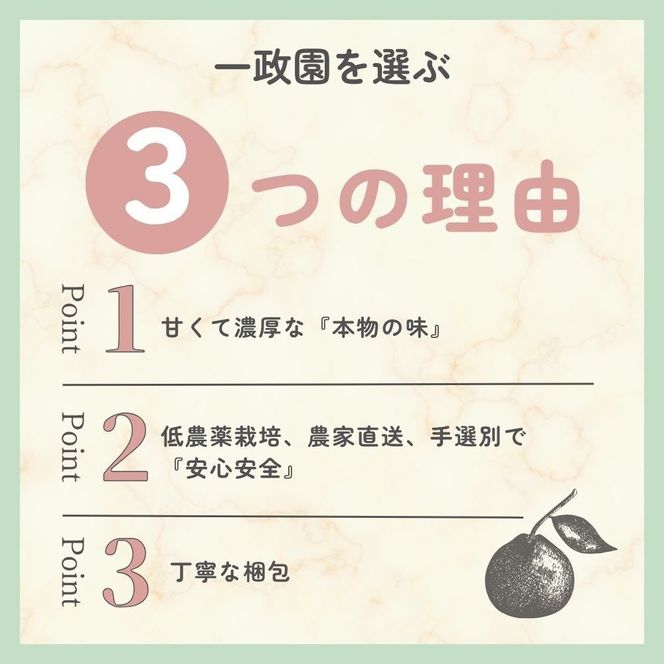 【ふるさと納税】有田みかん 極早生 2.6kg（箱込み3kg）家庭用 S～Lサイズ おまかせ【2026年11月発送】柑橘 フルーツ みかん 産地直送 お取り寄せ 送料無料 FA03
