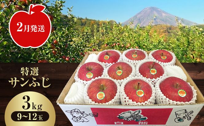 【2月発送】白熊 特選 サンふじ 絆 約3kg 糖度13度【青森りんご 果物 フルーツ 食後 デザート シャキシャキ ジューシー りんごの王様 】
