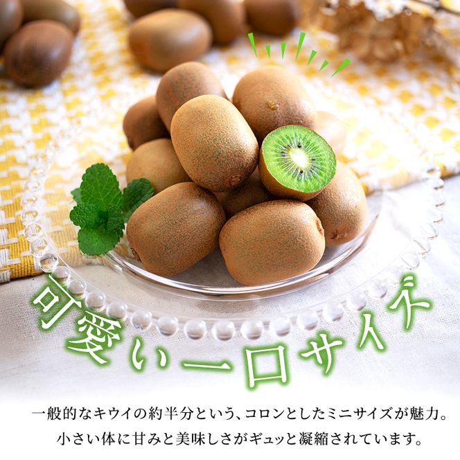 東かがわ市のちょこっと食卓応援品「キウイっこ 800g（サイズバラ）」