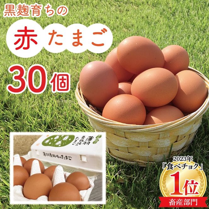 【先行予約】【2026年2月より順次発送】黒麹育ちの赤たまご30個 |栃木県 益子町 ふるさと納税 たまご 卵 タマゴ 赤たまご 人気 濃厚 食べチョク (BC007)
