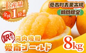 【訳あり】愛南ゴールド（河内晩柑）8kg | 柑橘 訳あり 詰め合わせ 家庭用 みかん かわちばんかん 果物 ジューシー ジュースみたいな果汁 鬼北町 愛南町 箱 送料無料 デザート ※北海道・沖縄・離島への配送不可 ※2026年4月上旬頃より順次発送予定