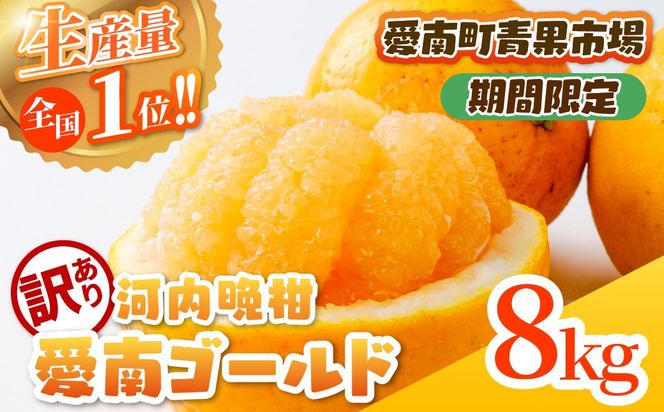【訳あり】愛南ゴールド（河内晩柑）8kg | 柑橘 訳あり 詰め合わせ 家庭用 みかん かわちばんかん 果物 ジューシー ジュースみたいな果汁 鬼北町 愛南町 箱 送料無料 デザート ※北海道・沖縄・離島への配送不可 ※2026年4月上旬頃より順次発送予定