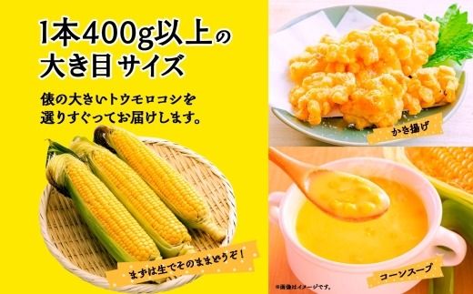 ＜2026年発送先行予約＞とうもろこし 恵味 ゴールド 400g以上 × 10本 高糖度 トウモロコシ スイートコーン 玉蜀黍 イエローコーン 黄 夏野菜 甘い ジューシー 野菜 おやつ 旬 産地直送 送料無料 湖南野菜出荷組合 山梨県 富士河口湖町 FEM003