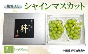ぶどう 2026年 先行予約 シャインマスカット(特秀) 2房 1房800g以上 銀箱入り 備州の国 絆 慶祥苑 贈り物 贈答 のし対応 岡山県 赤磐市