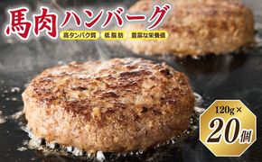 099H3402 桜文 馬肉ハンバーグ 総量2.4kg（120g×20個） 個包装