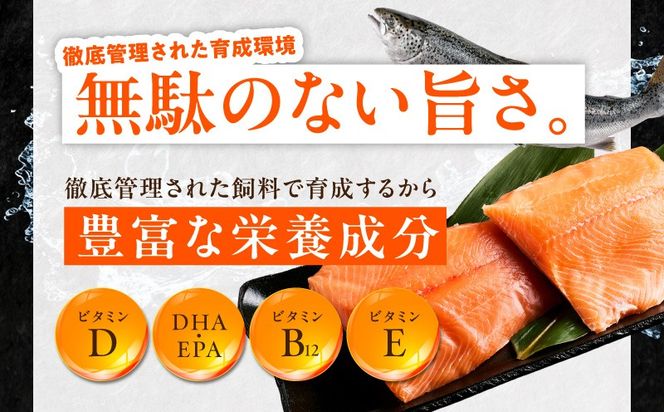 099Z616 【分けて届く定期便】国産アトランティックサーモン 1kg ポーション【小分け 真空パック 訳あり サイズ不揃い 刺身 海鮮丼 さーもん 鮭 さけ シャケ しゃけ 冷凍 全2回】