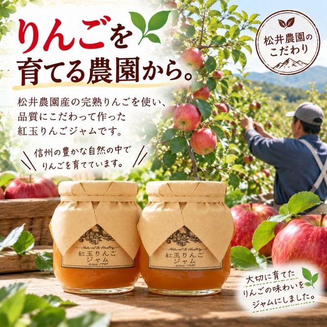 ジャム【紅玉りんごジャム（140g）２個セット】りんご リンゴ りんごジャム 紅玉 完熟 アップル 果物 ペースト トッピング  トースト ヨーグルト 信州 長野