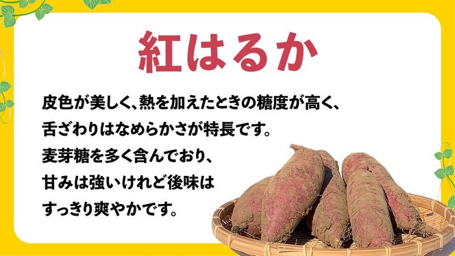 タケヒロファーム様140本6月6日頃発送分茨城県産紅はるか