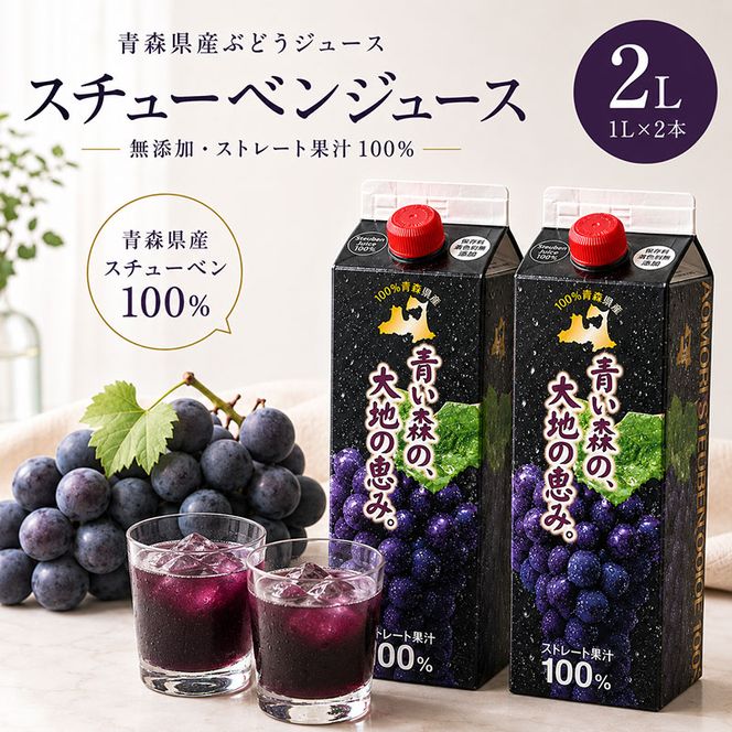 ぶどうジュース 紙パック 1L × 2本入り 無添加 ストレート果汁 100% 【 スチューベンジュース 葡萄 青森県産 産地直送 1000ml 2本セット 】