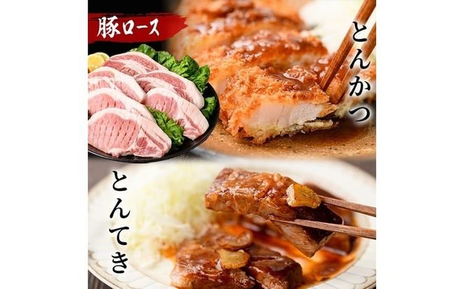 【訳あり・生産者応援】九州産豚ロース とんかつ用(計2.1kg) a1-161