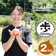 淡路島玉ねぎ 歩-AYUMU- 2kg　玉ねぎ