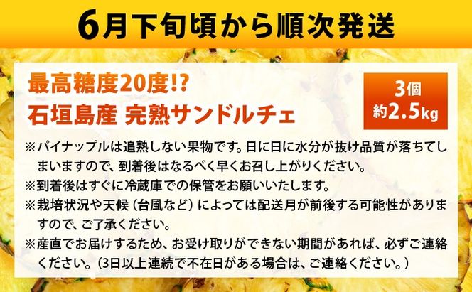 【先行予約2026年6月下旬頃から順次発送】最高糖度20度！？クリーミーな味わいが魅力の石垣島産完熟サンドルチェ 3個セット