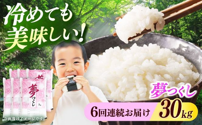 【全6回定期便】【令和7年度産】 福岡県産米 夢つくし 30kg(5kgx6袋) 精米《築上町》【有限会社ファインリョーコク】[ABCO032]