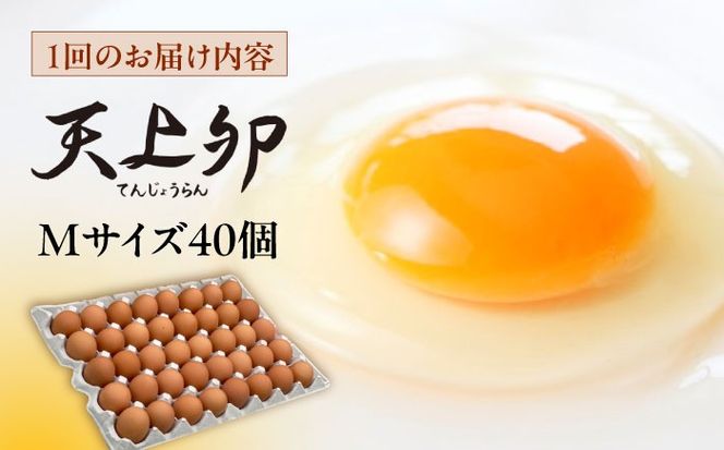 【 全6回 定期便 】 こだわり の 卵 「 天上卵 」 40個 セット 《糸島》【株式会社おおはまファーム】[AKH007]【 全6回 定期便 】 こだわり の 卵 「 天上卵 」 40個 セット 《糸島》【株式会社おおはまファーム】[AKH007]