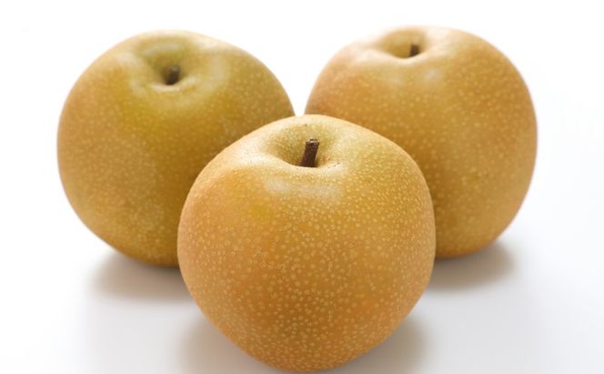 梨 2026年 先行予約 あたご梨 約3kg 3～5玉入り  なし ナシ  岡山県産 国産 フルーツ 果物 ギフト 和梨 デザート 食後 日本一の大きさ 大玉 シャリシャリ