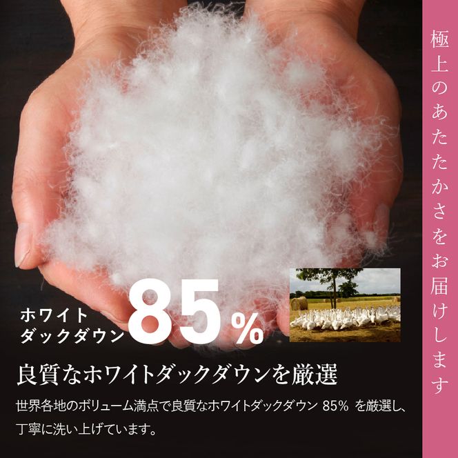 羽毛布団 【訳あり】甲州羽毛ふとん　本掛けふとん（ダブル/お任せ柄）ダウン85％ 掛け布団 ダブル 本掛け 寝具 羽毛布団 山梨 富士吉田