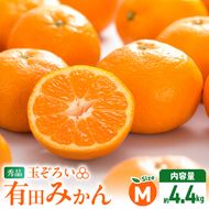 【2026年先行予約】みかん Ｍサイズ 秀品 箱込 5kg ( 内容量 4.4kg ) 有田みかん 和歌山県産 産地直送 贈答用 【みかんの会】_MK1044