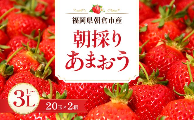 いちご 朝倉市産 あまおう L～3L 20玉×2箱 イチゴ 苺 果物 デザート ※配送不可：離島